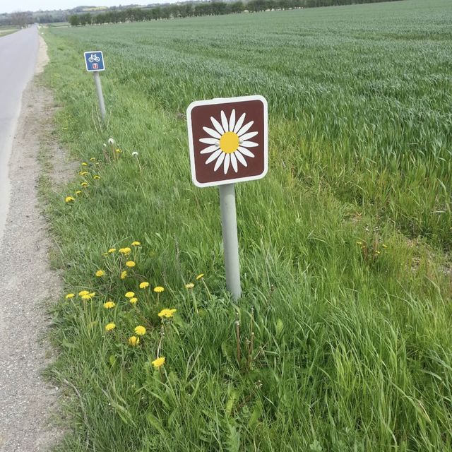 全球最快樂嘅國家之一 丹麥🇩🇰
