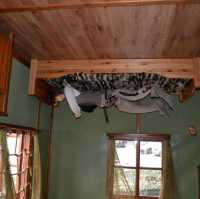 Upside Down House in Zakopane