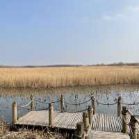 Dongtan Wetland Park, Chongming