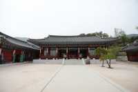 용인 대장금파크 최대규모 놀랍다!
