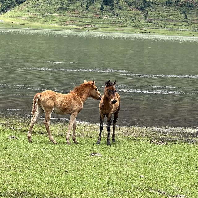 Wenhai lake, Lijiang, Yunnan 