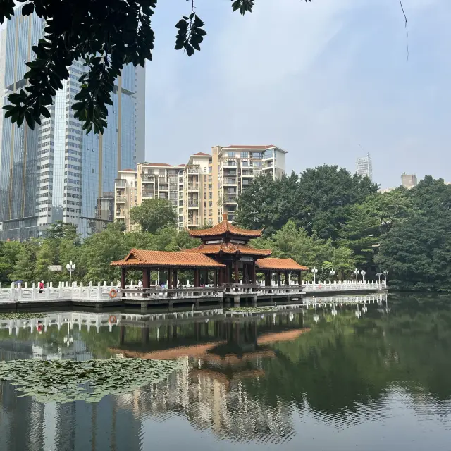 打卡深圳荔枝公園