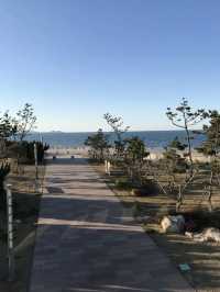 Yantai university beach 🏖 