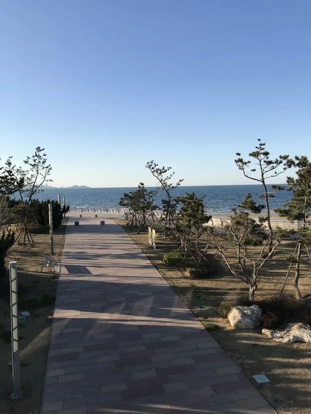 Yantai university beach 🏖 