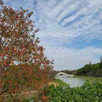 Haiwan Forest- Pet friendly & in Shanghai