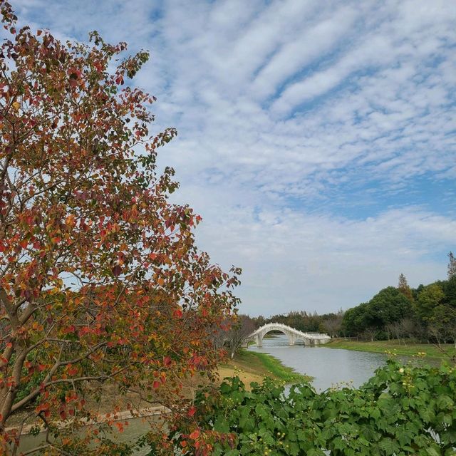 Haiwan Forest- Pet friendly & in Shanghai