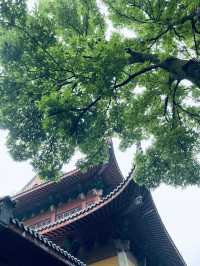 Weekend guide to praying for blessings at Lingyin Temple in Hangzhou and half-day trip around Shanghai.