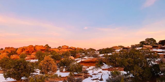 Colorful castle-like rock formations stand in groups, forming a unique landscape of undulating domes in the Joshua Tree National Park.