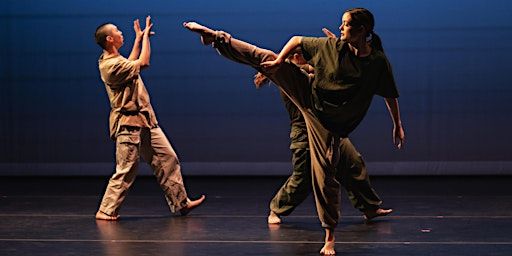 Black Movement Festival Boulder: VisKosity Dance Collective Workshop | Frequent Flyers Aerial Dance Studio, Sterling Circle, Boulder, CO, USA