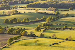 5 mile, off road loop run from Devils Dyke Car Park with Susie B. | National Trust - Devil's Dyke