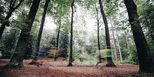 Run Wild! 2025 | Studio INFMS