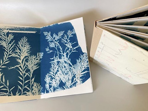 Cyanotype & Book Making - Feb 1 & 2, 2025 (multi-day) | International Printing Museum