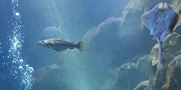 The Living Coast Undersea Experience at Marine Workshops, Newhaven | Newhaven Marine Workshops