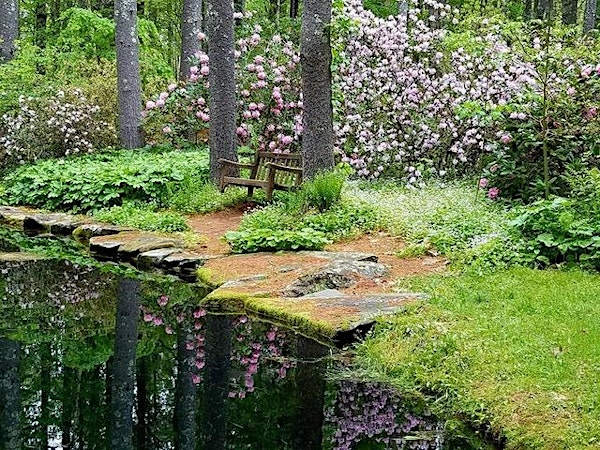 Monthly Meet Up: Foundations of Gardening. | Bedrock Gardens