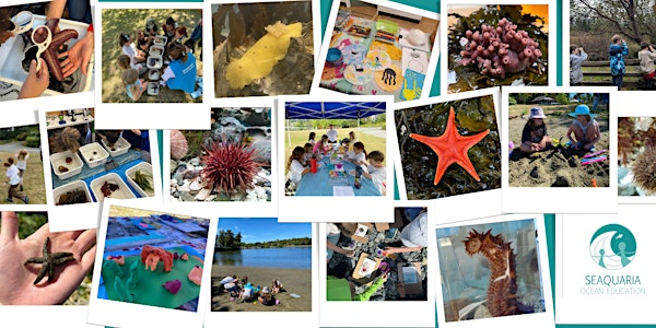 Scientists on the Shore Summer Camp | Gorge Waterway Nature House
