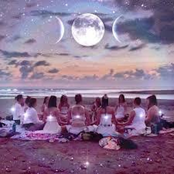 New Moon Circle at Serendipity's Backyard | Serendipity's Backyard