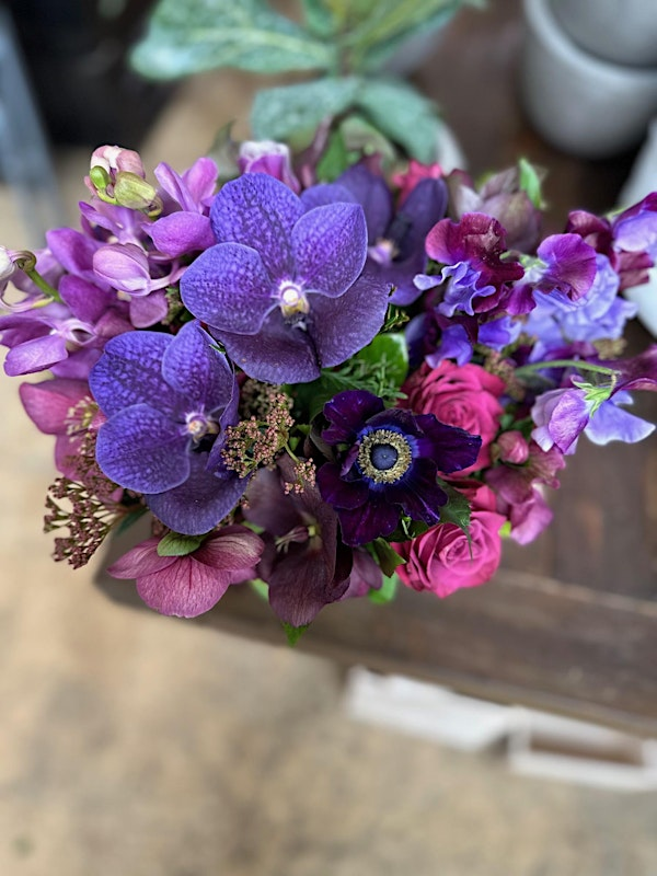 IN STUDIO - Ultra Violet | Helen Olivia Flowers