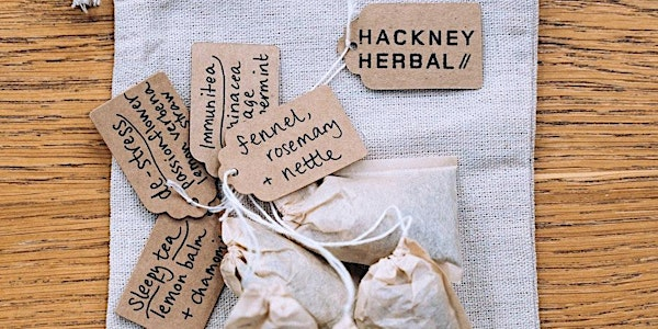 Festive Calm: Herbal Remedies to Relax & Restore at Petersham Nurseries | Petersham Nurseries