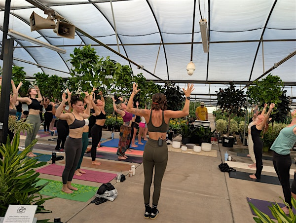 Yoga in the Greenhouse with Bentley | Plant Stand of Arizona