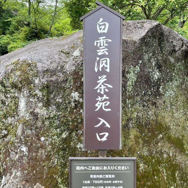 白雲洞茶苑