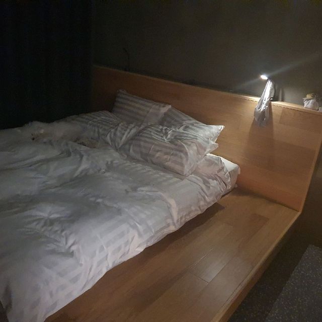 소노펫 홍천 비발디파크