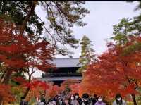 京都[紅葉めぐり]  南禅寺　三門の紅葉が絶景❗️