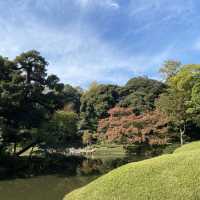 東京〝小石川後楽園〟