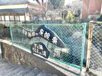 【大分】ソーダ温泉、日本一の炭酸風呂