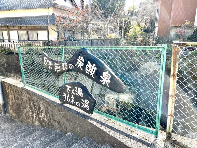 【大分】ソーダ温泉、日本一の炭酸風呂