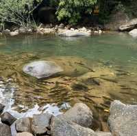 เดินป่า ศึกษาธรรมชาติ ที่น้ำตกพลิ้ว