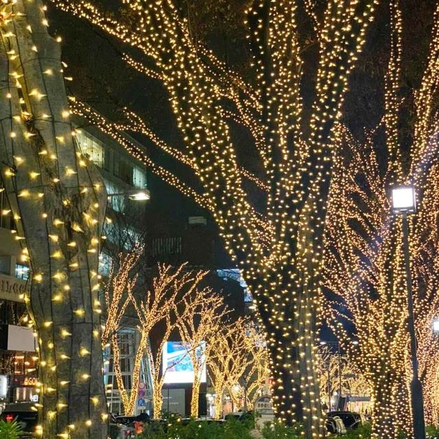 表参道ヒルズのイルミネーション