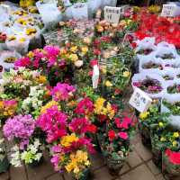 Flower Street Market Mongkok