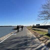 【茨城】つくば霞ヶ浦りんりんロード🚴‍♀️