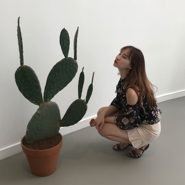현대미술품이 가득한 루이비통 파운데이션💜