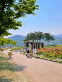 부산 봄나들이 가기 좋은 해운대 수목원 🌿