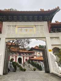 圓玄學院 半日遊