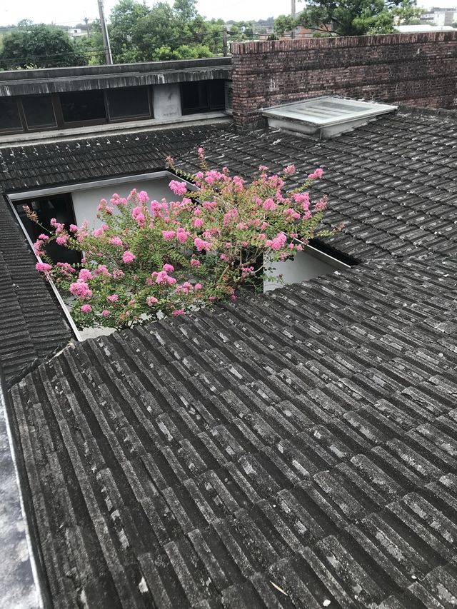 宜蘭壯圍 ｜ 壯圍張宅