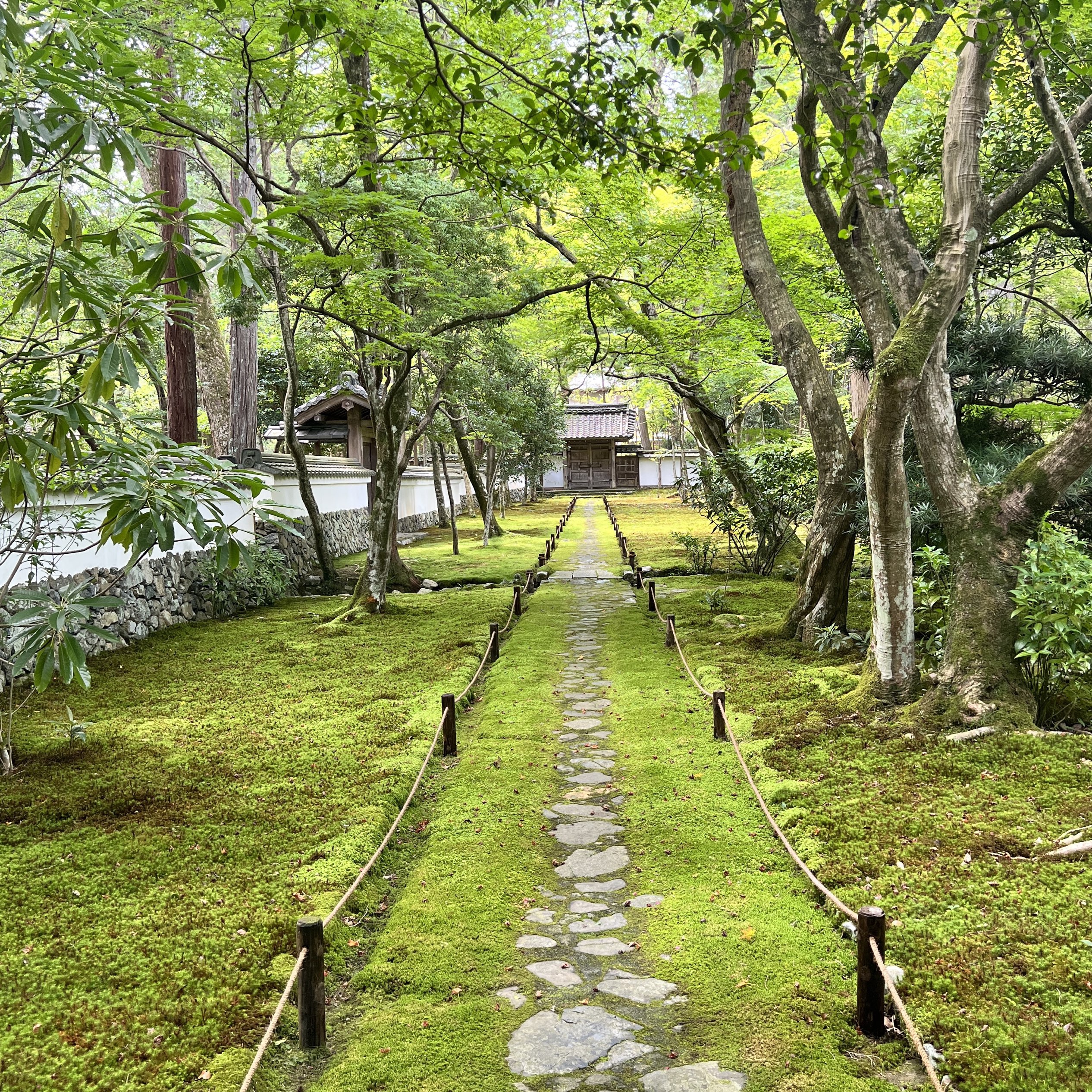 [Kyoto] A temple with beautiful moss that requires a reservation