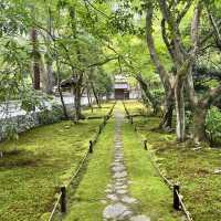 【京都】苔が美しい完全予約制のお寺
