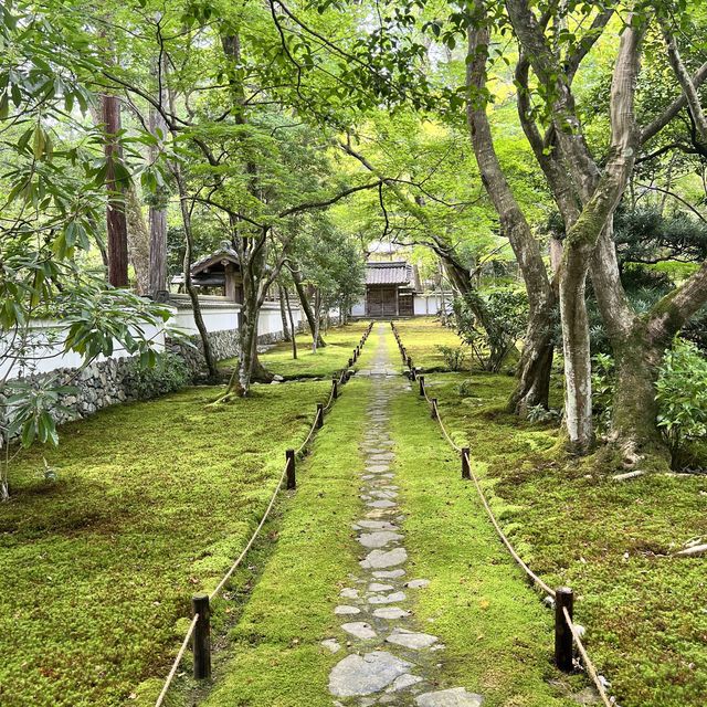 【京都】苔が美しい完全予約制のお寺
