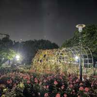 밤에도 예쁜 매력적인 장미공원🌹
