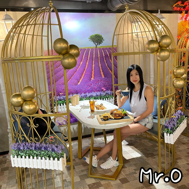 《鳥籠cafe . 打卡一流 📸》 《鳥籠cafe . 打卡一流 📸》