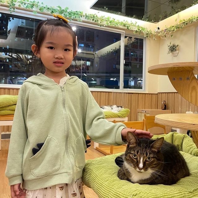 貓之茶房