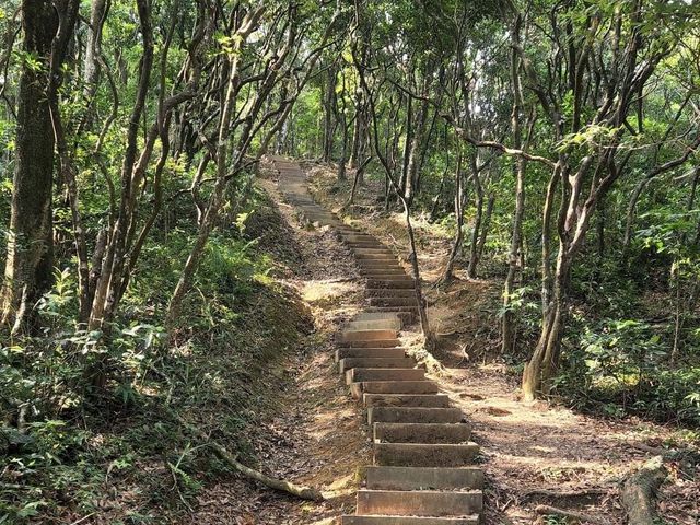 北大刀屻