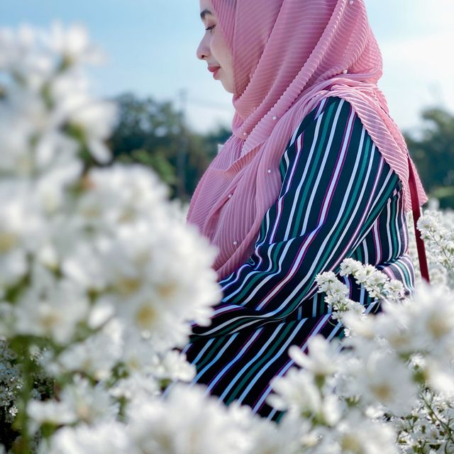 สวนดอกไม้ลุงรน เชียงใหม่