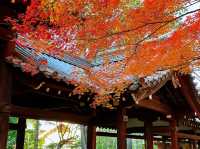 真正極楽寺 (真如堂)