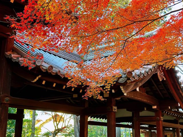 真正極楽寺 (真如堂)