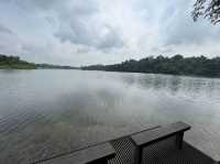 Macritchie Hike! 