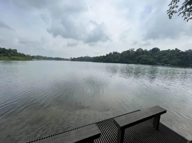 Macritchie Hike! 