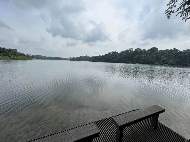 Macritchie Hike! 